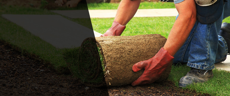 Brookeville Landscapers